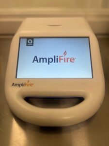 recombinase-polymerase-amplification