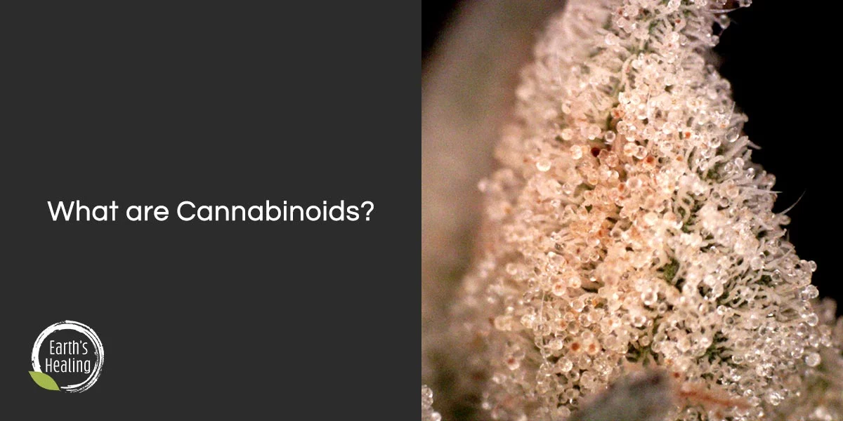 What are Cannabinoids?