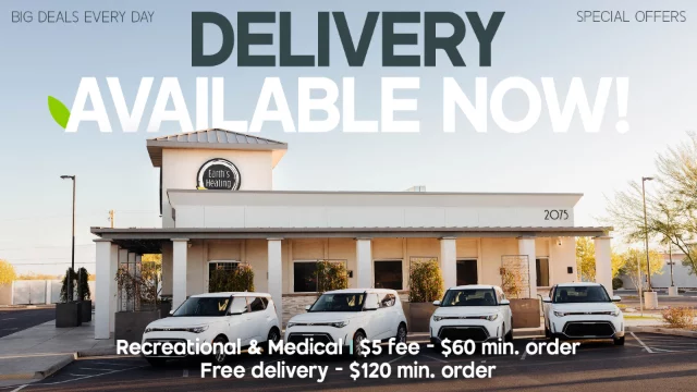 Delivery Now Available